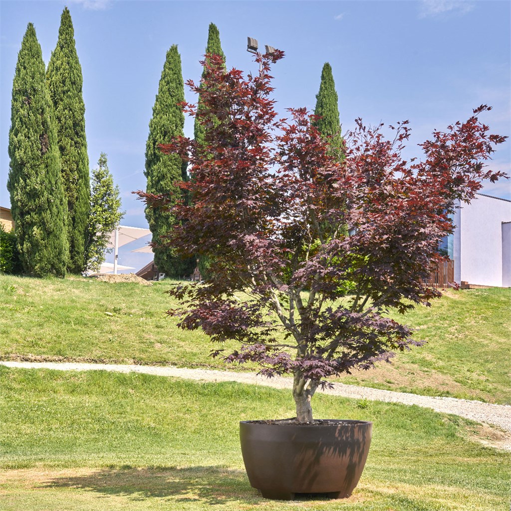 VASO MEGALOS BRONZO 80/72 H.53 LT.200 IDEL